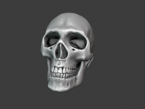 SKULL GAME READY LOW POLY 3D MODEL 3D 모델