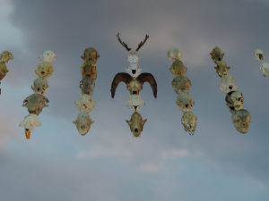35 IN 1 ANIMALS SKULL GAME READY 3D MODEL Model 3D