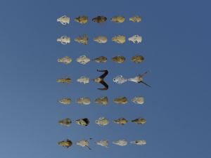 35 IN 1 ANIMALS SKULL GAME READY 3D MODEL Model 3D