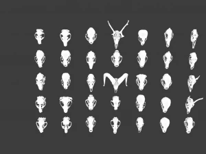 35 IN 1 ANIMALS SKULL GAME READY 3D MODEL 3D Model
