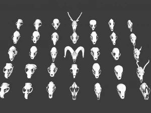 35 IN 1 ANIMALS SKULL GAME READY 3D MODEL 3D Model