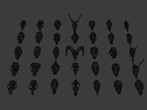 35 IN 1 ANIMALS SKULL GAME READY 3D MODEL Model 3D