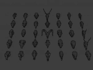 35 IN 1 ANIMALS SKULL GAME READY 3D MODEL 3D Model