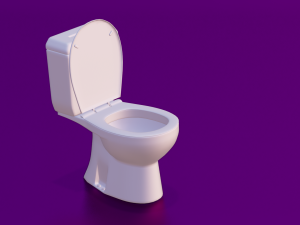 TOILET LOW POLY GAMEREADY Modèle 3D