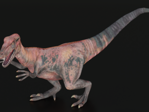 DINOSAUR LOW POLY GAMEREADY 3D MODEL Modelo 3D