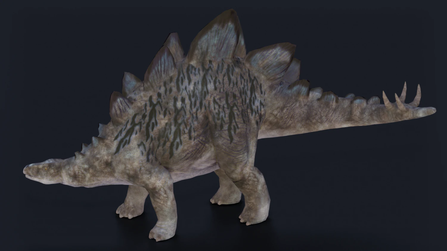 DINOSAUR LOW POLY GAMEREADY 3D Model .c4d .max .obj .3ds .fbx .stl .blend