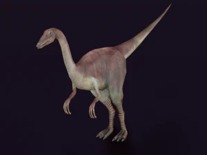 DINOSAUR LOW POLY GAMEREADY 3D Model