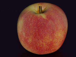 APPLE LOW POLY GAMEREADY 3D Model
