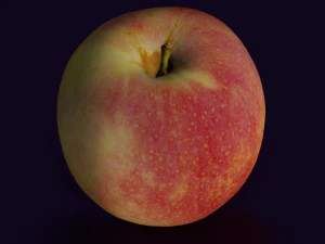 APPLE LOW POLY GAMEREADY 3D Model