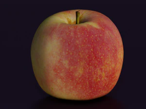 APPLE LOW POLY GAMEREADY 3D Model