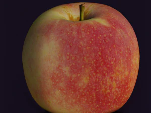 APPLE LOW POLY GAMEREADY 3D Model