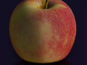 APPLE LOW POLY GAMEREADY 3D Model