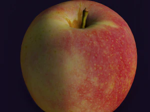 APPLE LOW POLY GAMEREADY 3D Model