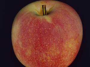 APPLE LOW POLY GAMEREADY 3D Model