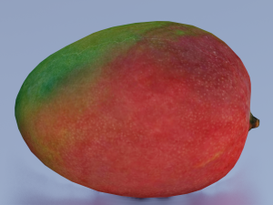 MANGOLOW POLY GAMEREADY 3D Модель