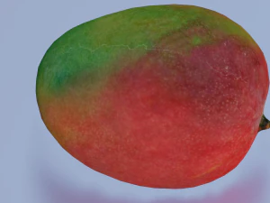 MANGOLOW POLY GAMEREADY 3D Model