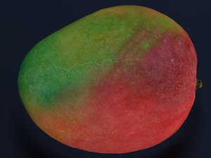 MANGOLOW POLY GAMEREADY 3D Модель