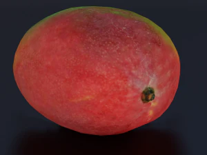 MANGOLOW POLY GAMEREADY 3D Model