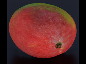 MANGOLOW POLY GAMEREADY 3D Модель