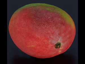 MANGOLOW POLY GAMEREADY 3D Model