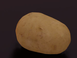 POTATO LOW POLY GAMEREADY 3D Model