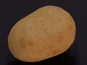 POTATO LOW POLY GAMEREADY 3D Model