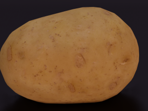 POTATO LOW POLY GAMEREADY Modelo 3D