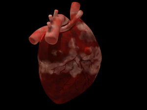 MENSELIJK HART BAR LAGE POLY GAMEREADY 3D Model