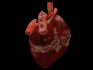 HUMAN HEART BAR LOW POLY GAMEREADY 3D Model
