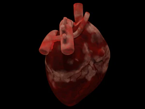 HUMAN HEART BAR LOW POLY GAMEREADY 3D Model