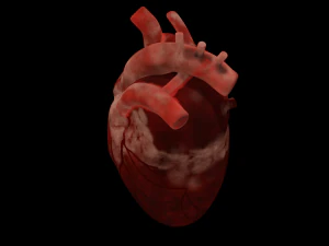 HUMAN HEART BAR LOW POLY GAMEREADY 3D Model
