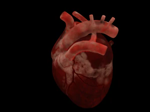 HUMAN HEART BAR LOW POLY GAMEREADY 3D Model