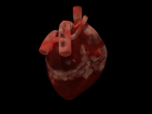 HUMAN HEART BAR LOW POLY GAMEREADY 3D Model