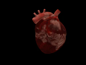 HUMAN HEART BAR LOW POLY GAMEREADY 3D Model