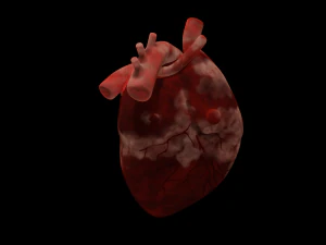 HUMAN HEART BAR LOW POLY GAMEREADY 3D Model
