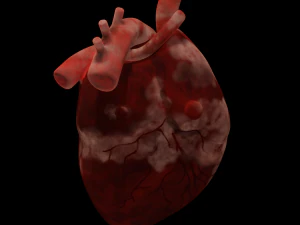 HUMAN HEART BAR LOW POLY GAMEREADY 3D Model