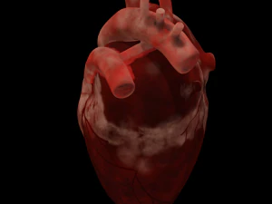 HUMAN HEART BAR LOW POLY GAMEREADY 3D Model