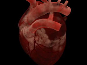 HUMAN HEART BAR LOW POLY GAMEREADY 3D Model