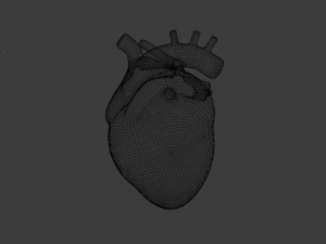 HUMAN HEART BAR LOW POLY GAMEREADY Modelo 3D