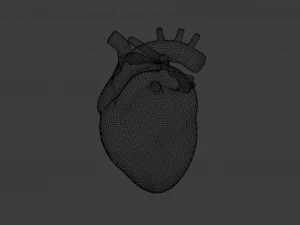 HUMAN HEART BAR LOW POLY GAMEREADY 3D Model