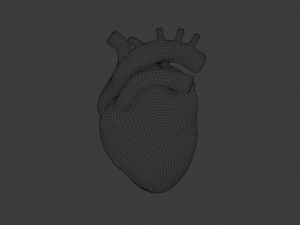 HUMAN HEART BAR LOW POLY GAMEREADY Modelo 3D