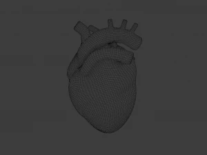 HUMAN HEART BAR LOW POLY GAMEREADY 3D Model