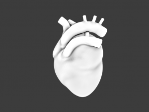 HUMAN HEART BAR LOW POLY GAMEREADY Modelo 3D