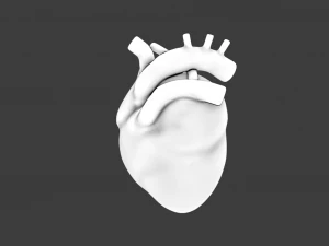 HUMAN HEART BAR LOW POLY GAMEREADY 3D Model