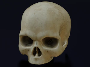 HUMAN HEAD SKULL LOW POLY GAME READY 3D Model