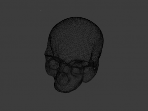 HUMAN HEAD SKULL LOW POLY GAME READY 3D Model