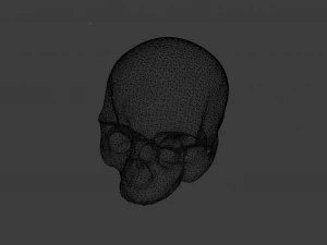HUMAN HEAD SKULL LOW POLY GAME READY 3D Model