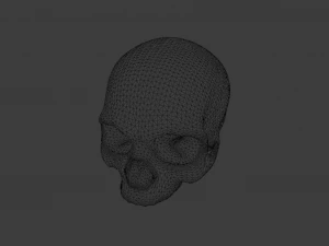 HUMAN HEAD SKULL LOW POLY GAME READY 3D Model