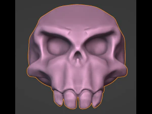 Skull 3D Model