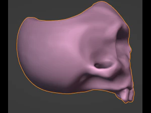 Skull 3D Model